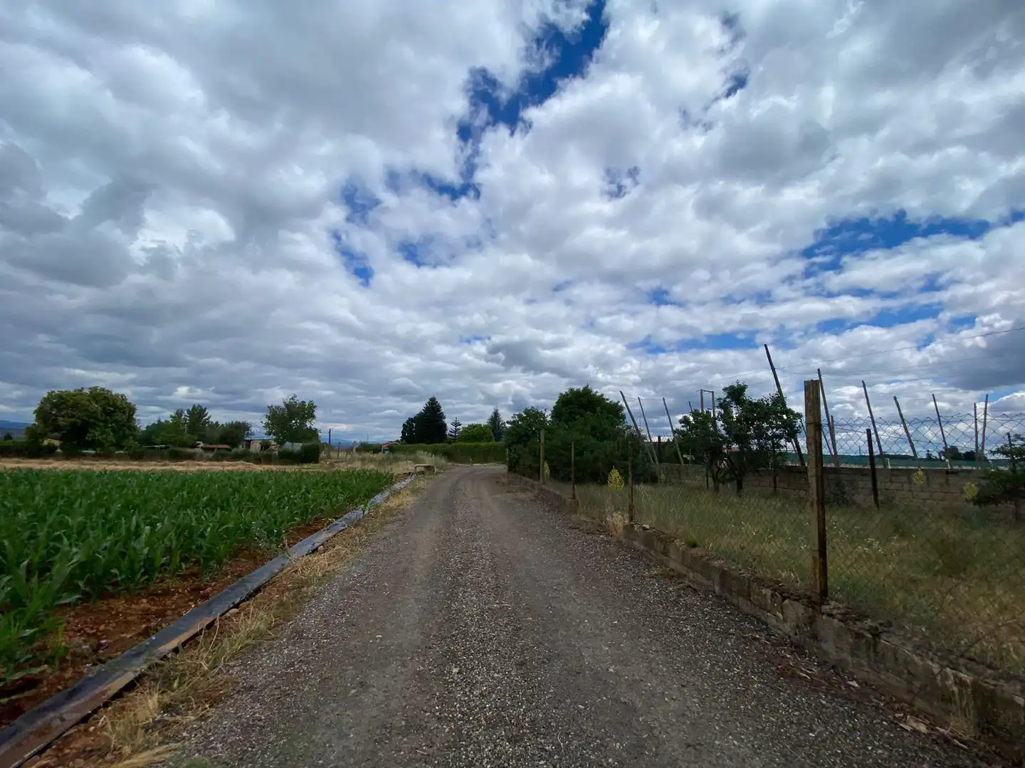 Finca rústica en venda en Carrizo amb Jardí privat