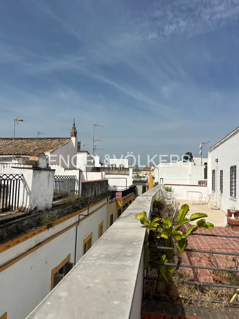 Vista exterior de Pis de lloguer en Sevilla amb Aire condicionat, Calefacció i Moblat