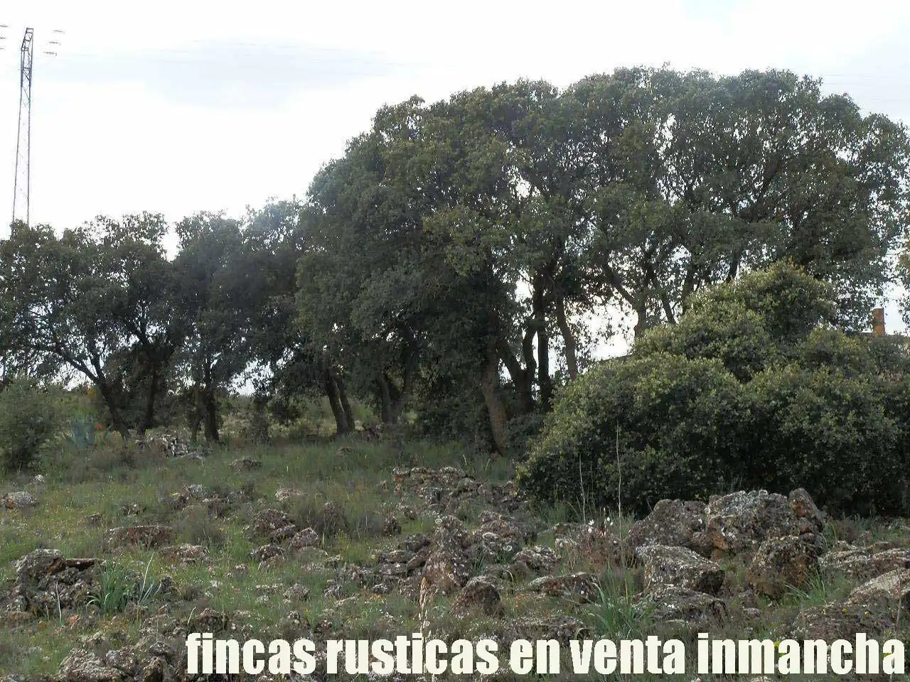 Terreno rustico in vendita a Ruidera, imagen 6