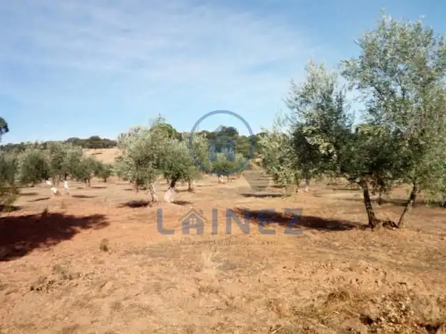Terreny residencial en venda a Villanueva del Duque, imagen 15