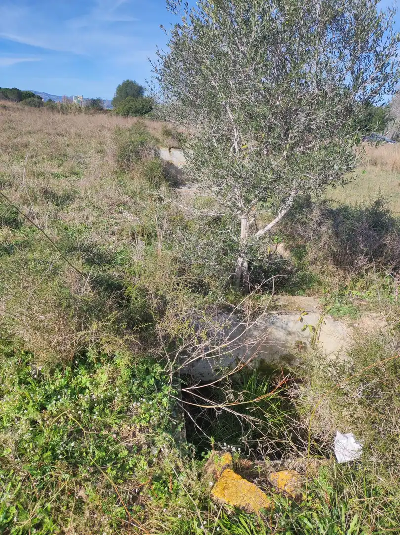 Maison rustique à vendre à PARTIDA ELS ABEURADORS, imagen 11