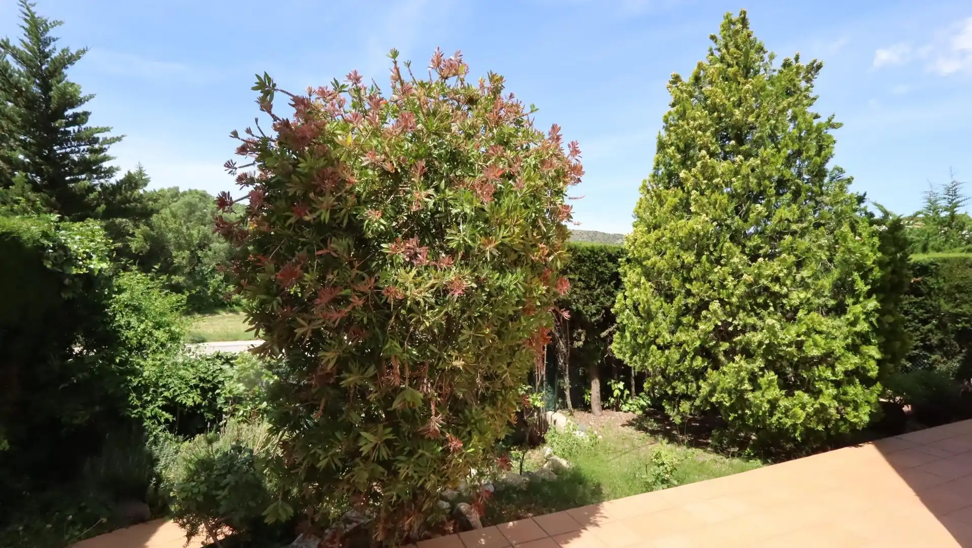 Jardí de Planta baixa en venda en Llançà amb Aire condicionat, Terrassa i Moblat
