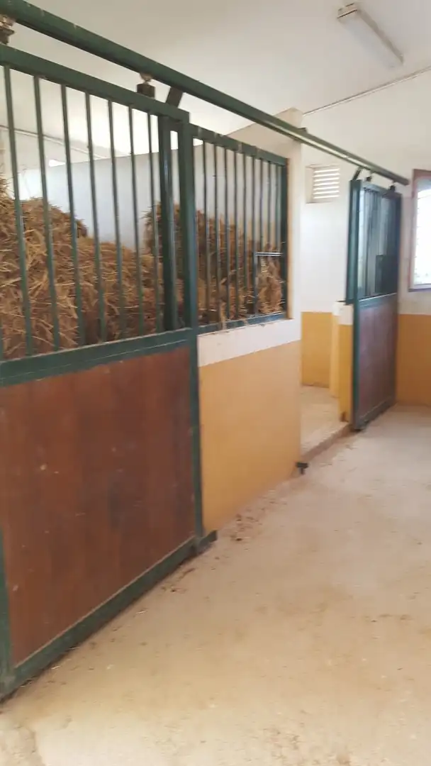 Casa rústica amb piscina en venda a N/A, imagen 40