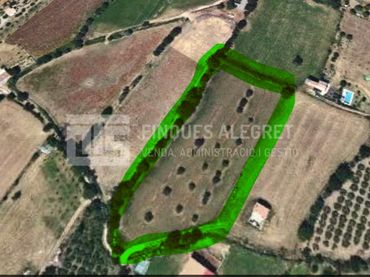 Residential land for sale in L-522