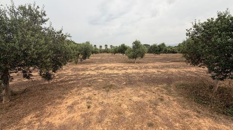 Foto 4 de Residencial en venda a Benissoda, Valencia