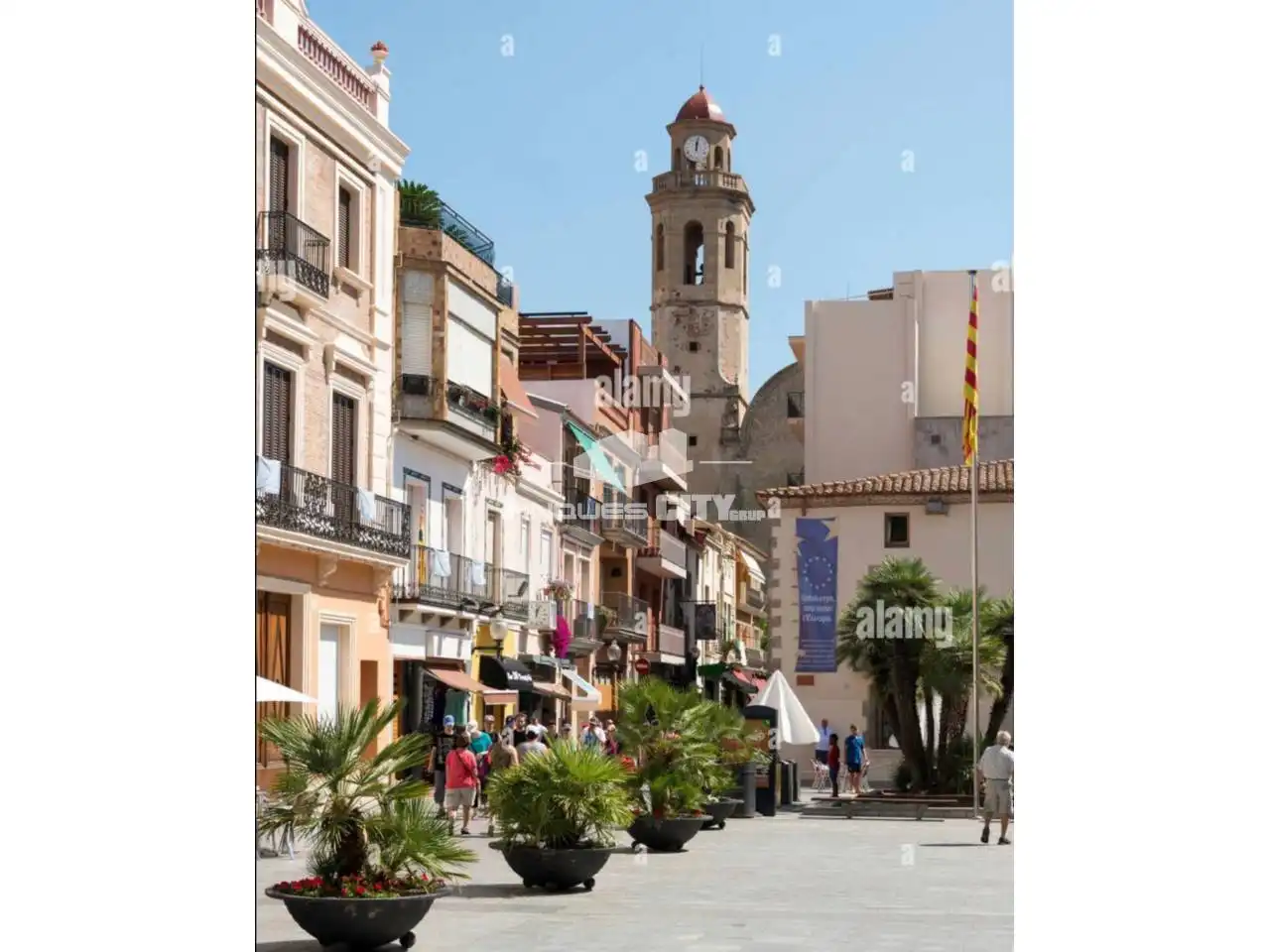 Terreno rústico en venta en Calle Sant Quirze, imagen 11