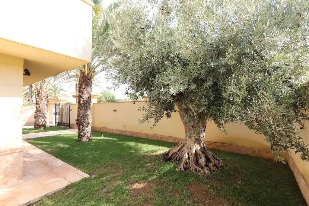 Casa o xalet en venda a Cabo Roig