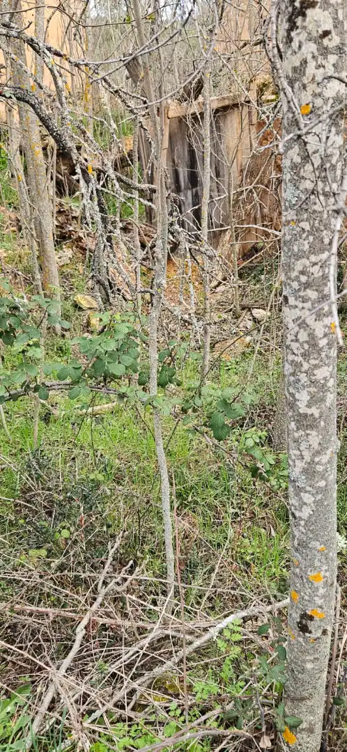 Terreno en venta en Las Parras de Castellote