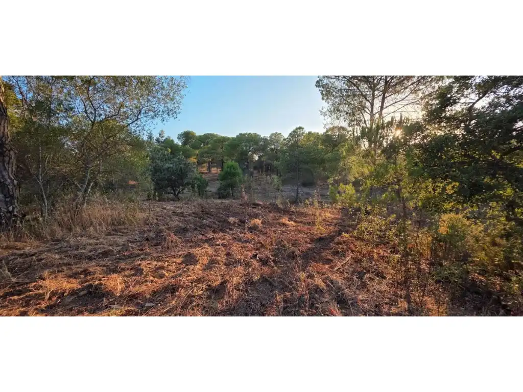 Terreni e lotti in vendita a Villablanca, imagen 2