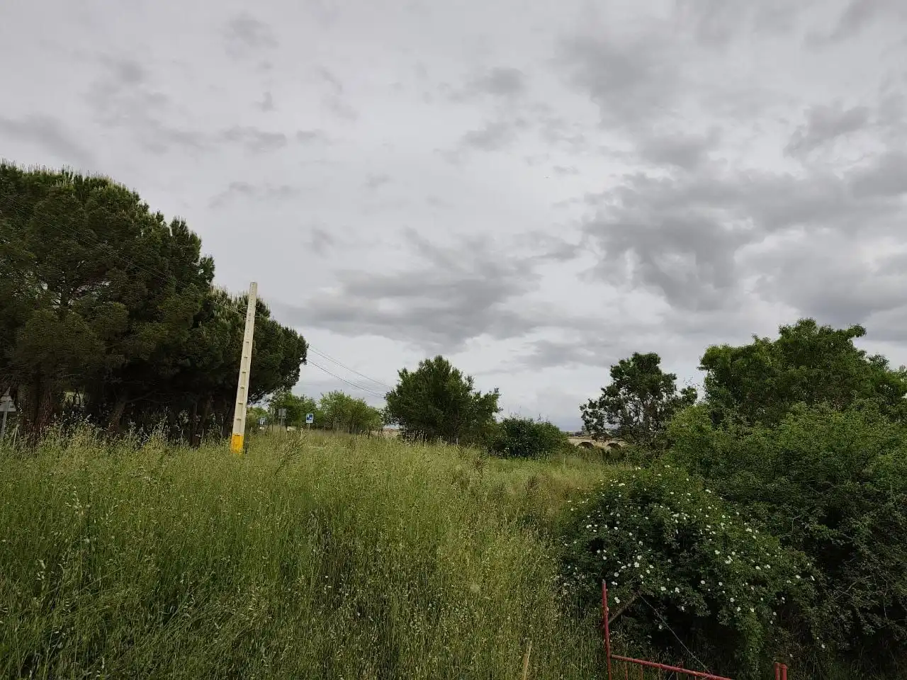 Rural land for sale in Camino del Valle 90, imagen 6