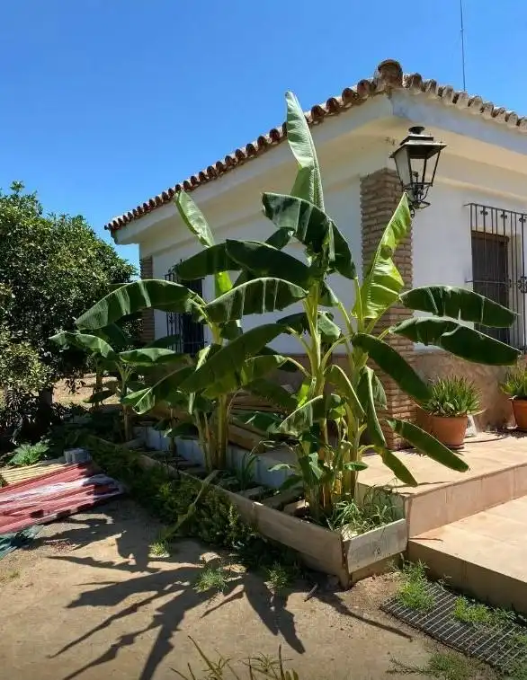 Chalet con jardín en venta en Sanlúcar la Mayor, imagen 40