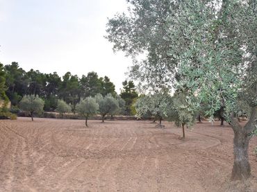 Terreno rustico in vendita a Valderrobres