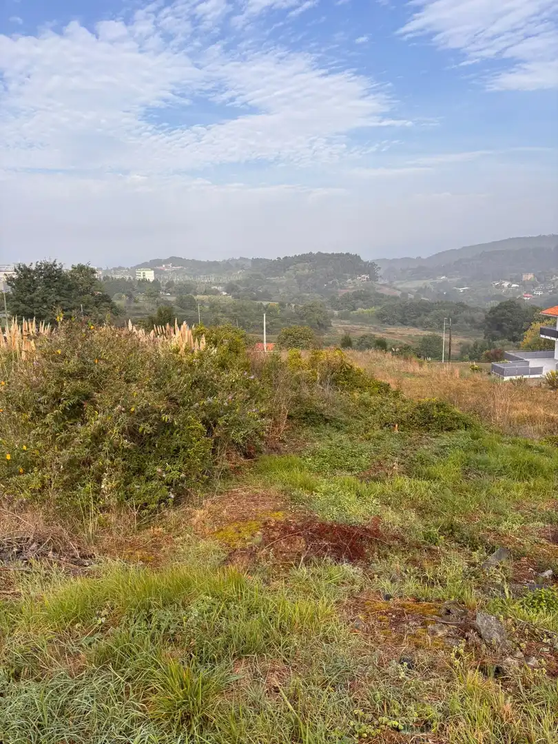 Rural land for sale in Erandio, imagen 9