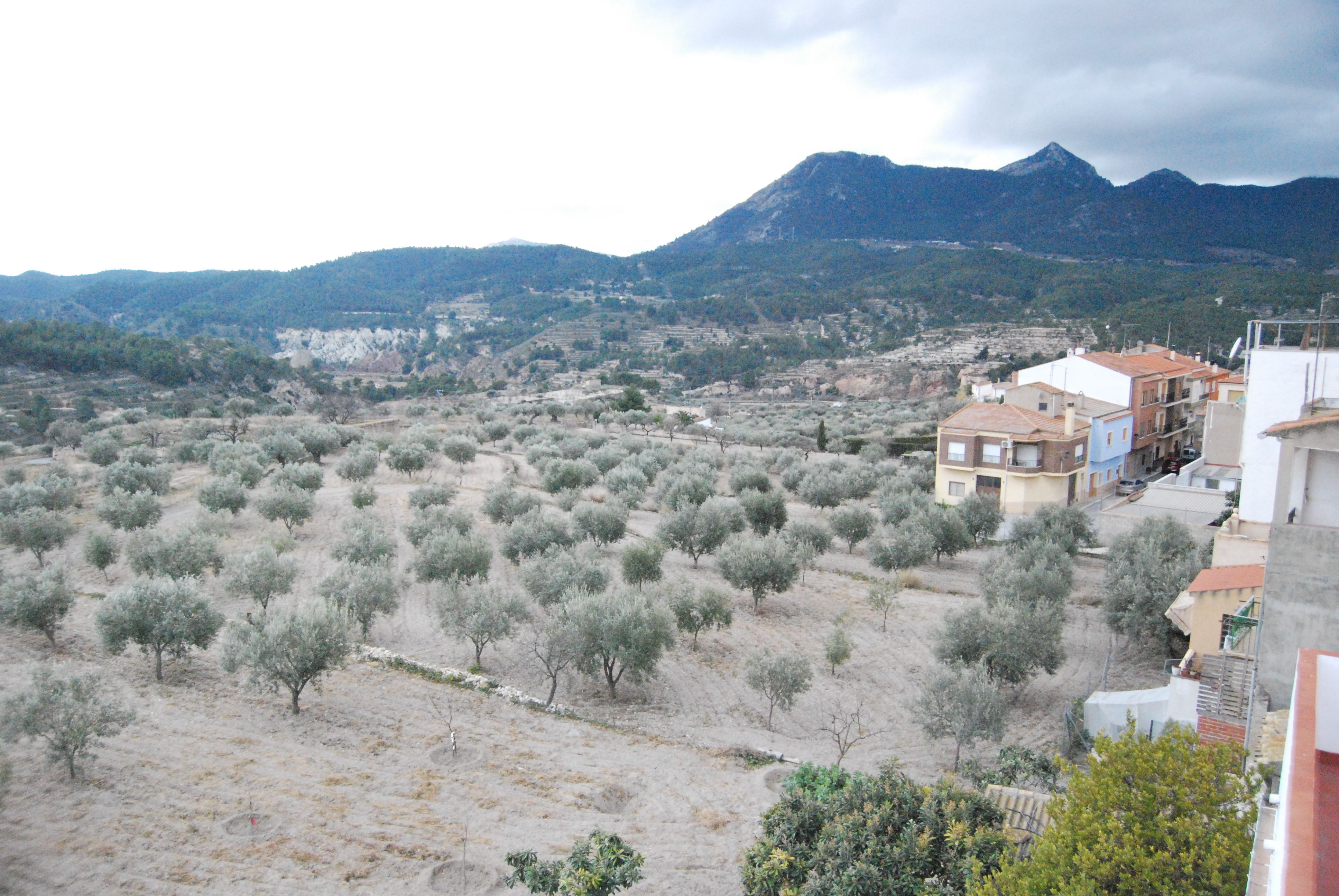 Jardí de Finca rústica en venda en Tibi amb Terrassa, Traster i Balcó
