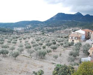 Jardí de Finca rústica en venda en Tibi amb Terrassa, Traster i Balcó