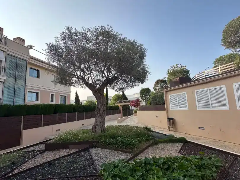 Vista exterior de Pis en venda en  Palma de Mallorca amb Aire condicionat, Piscina i Balcó