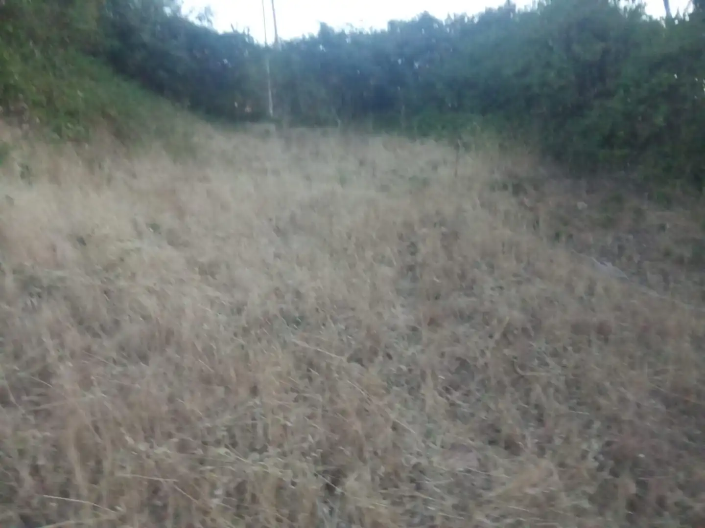 Residential land for sale in Valdenuño Fernández, imagen 8