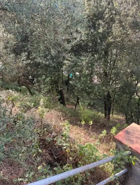 Terreno en Taradell La Roca, imatge 5