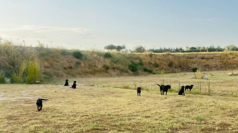 Foto 2 von Grundstücke zum Verkauf in Carretera de el Pardo a Fuencarral, 4, Montecarmelo, Madrid Capital