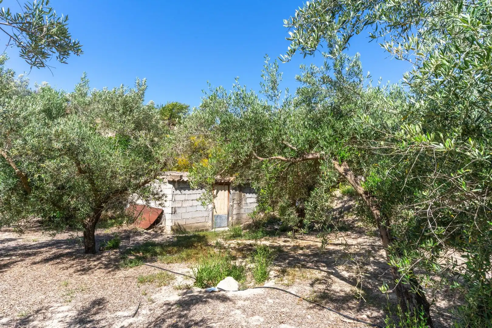 Terreno en venta en Tíjola