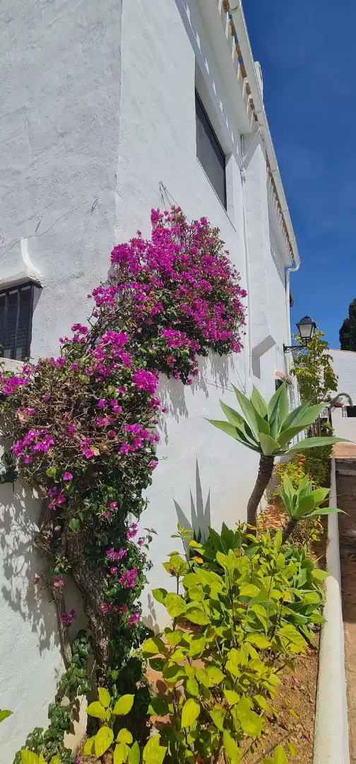 Piso en venta en Calle Bermeja 20, imagen 38