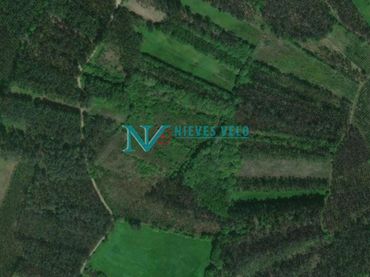 Terreno rústico en venta en Carballo