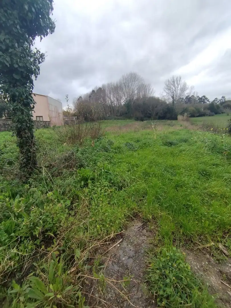 Terreno rustico in vendita a Calle Praia de Estacas 0, imagen 7