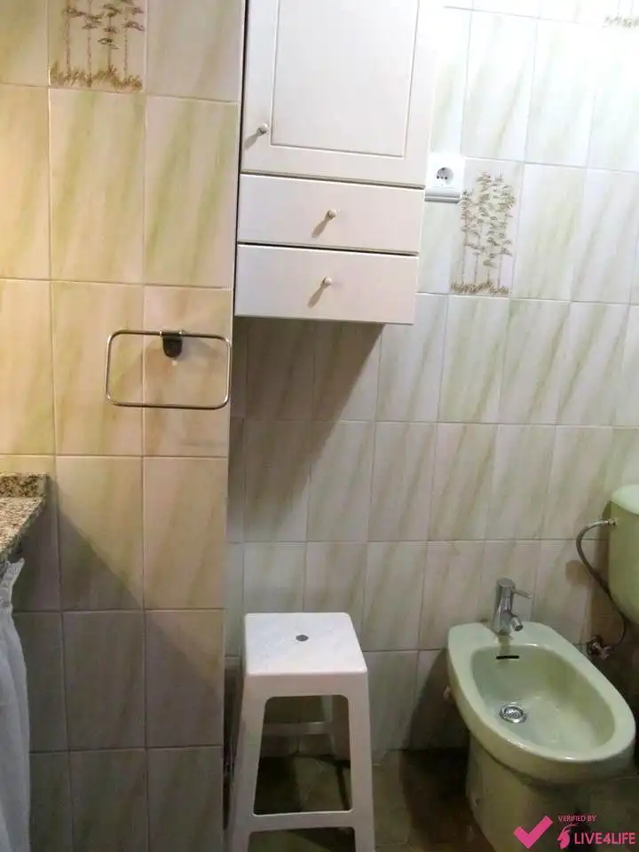 Bathroom of Flat for rent in Valencia  with Terrace and Furnished