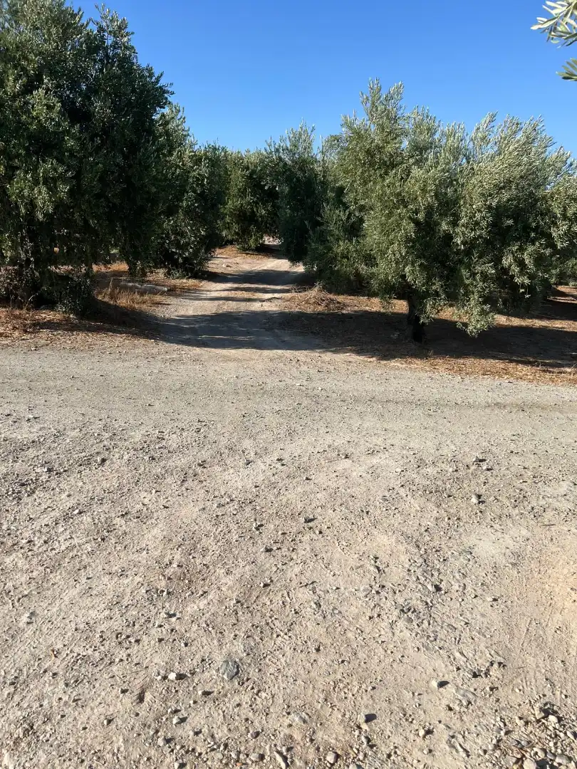 Terreny rústic en venda a Priego de Córdoba, imagen 4