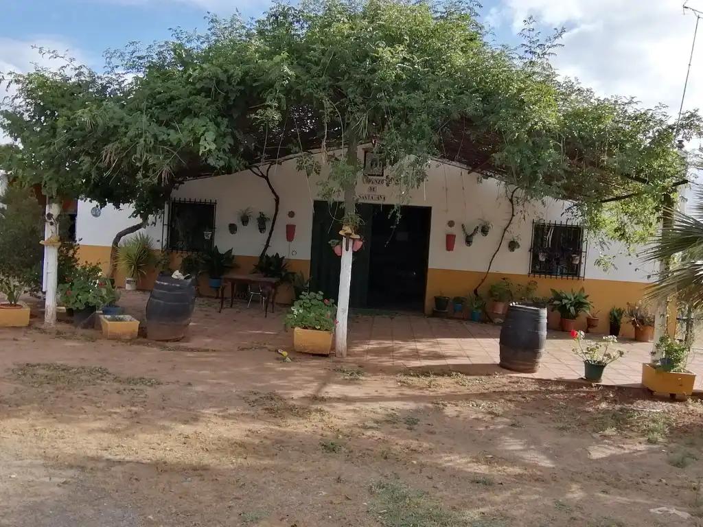 Casa rústica en venda a Arcos de la Frontera, imagen 23