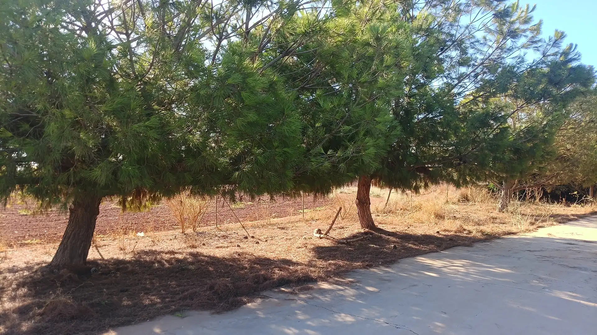 Maison rustique avec jardin à vendre à Pedanías Oeste, imagen 18