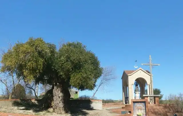 Vista exterior de Casa o chalet en venta en Palomeque