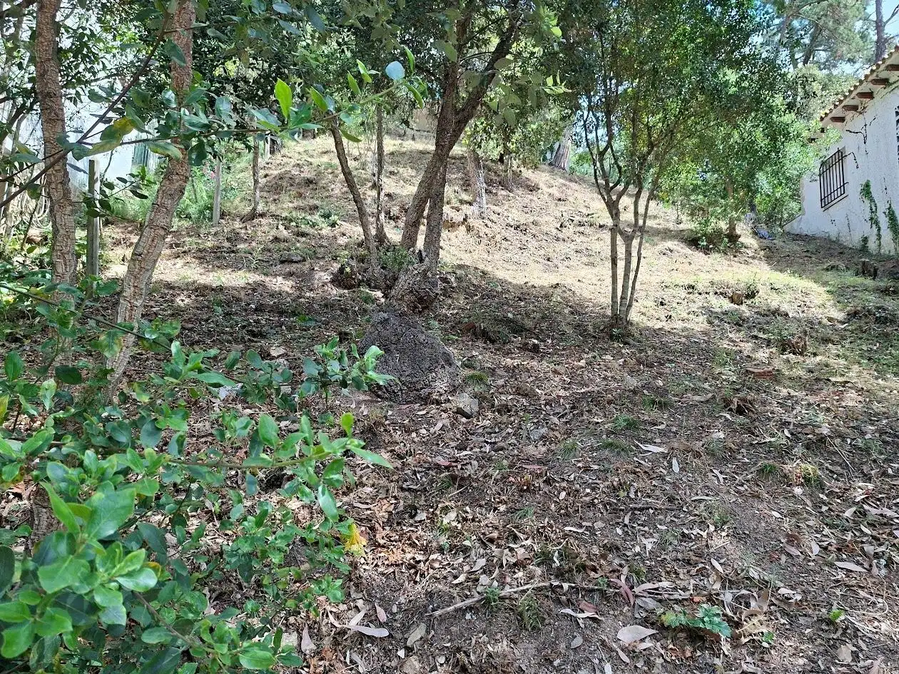 Houses for sale in Santa Cristina d'Aro  with Heating, Private garden and Terrace