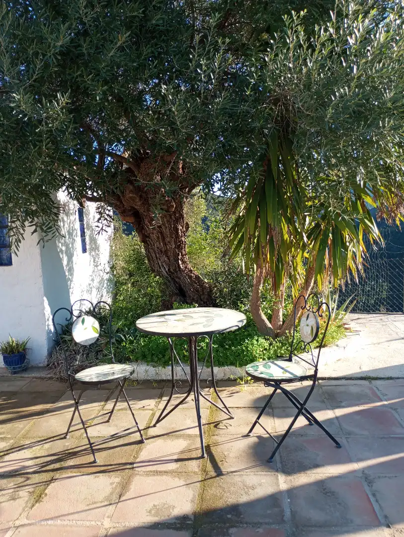 Garden of Country homes for sale in Monda  with Air Conditioner, Heating and Private garden