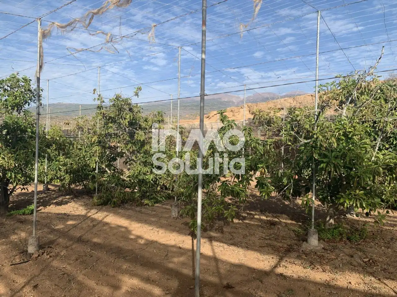 Terreno rustico in vendita a El Capitán, imagen 20