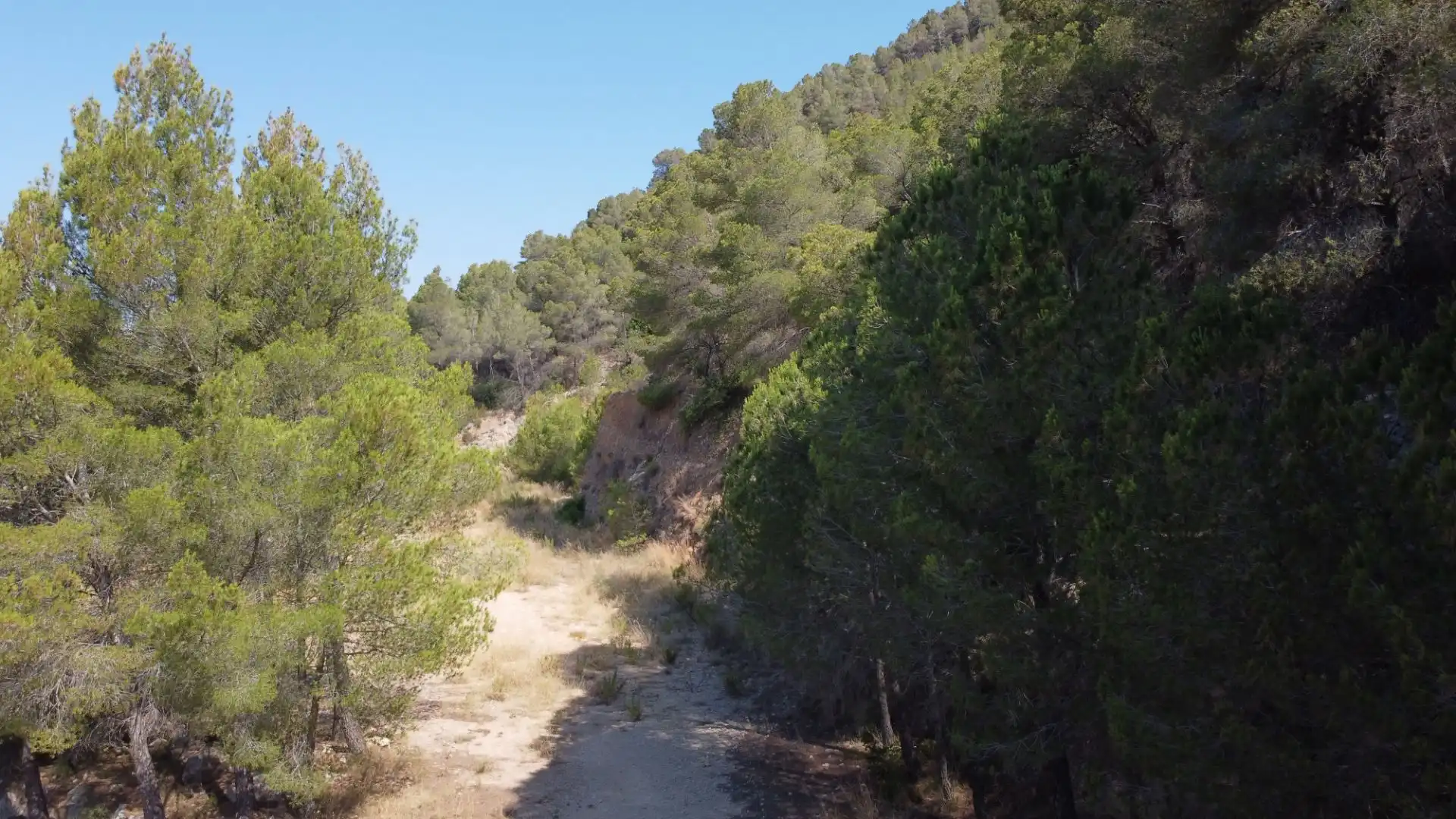 Terrenys i solars en venda a Callosa d'en Sarrià, imagen 17
