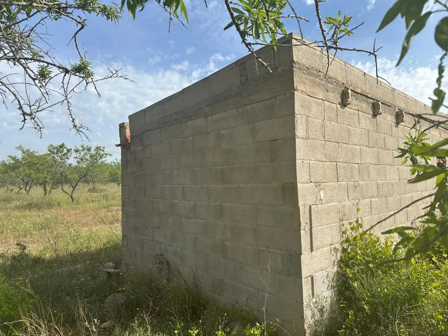 Land for sale in Traiguera