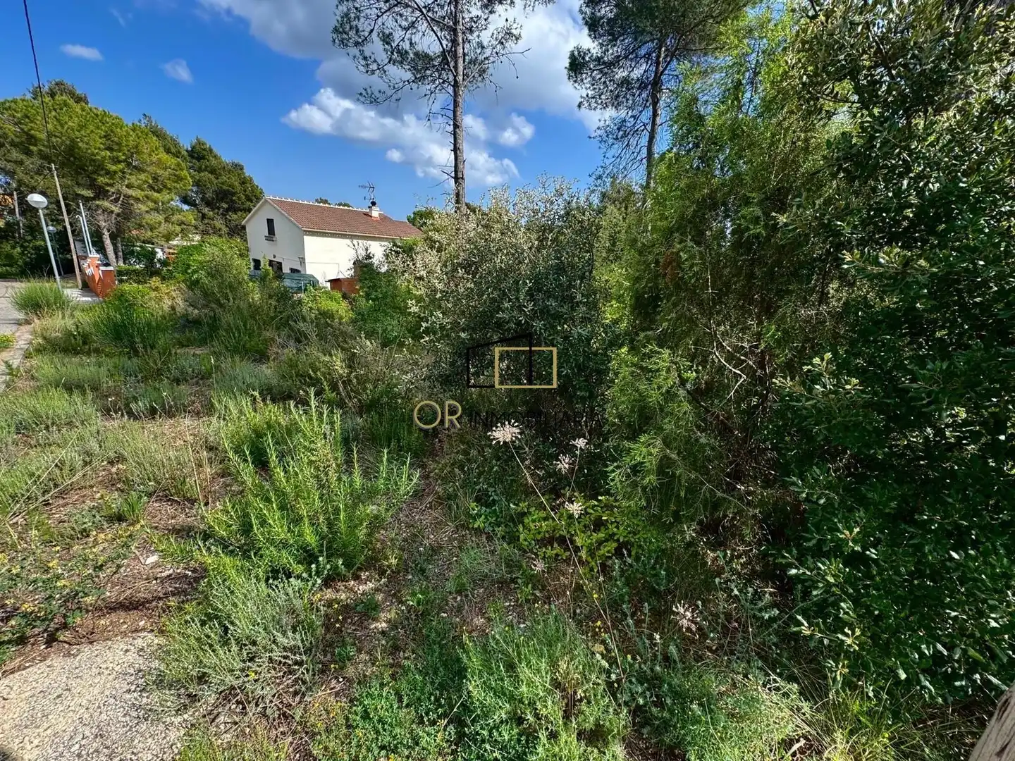 Residential land for sale in Pontons, imagen 4