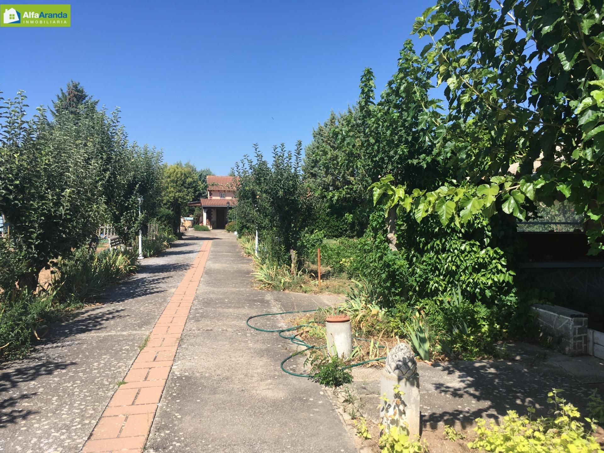Garden of House or chalet for sale in Aranda de Duero  with Terrace and Swimming Pool