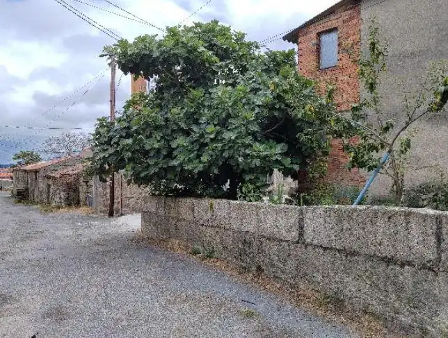 Houses for sale in Os Blancos 
