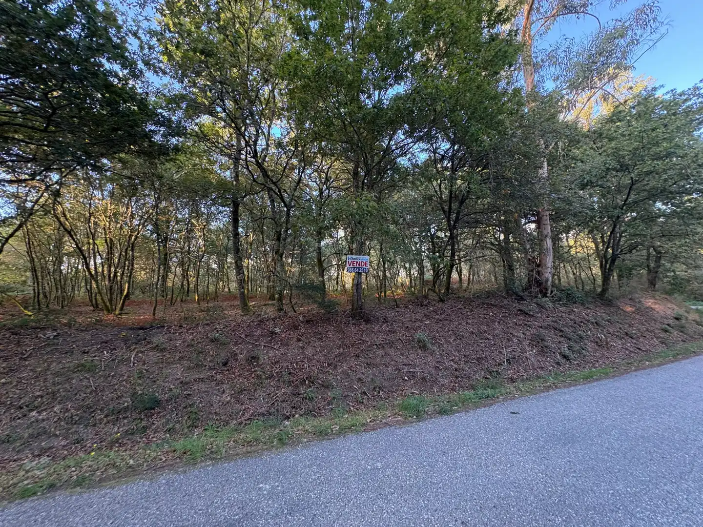 Lands and plots for sale in Mondariz