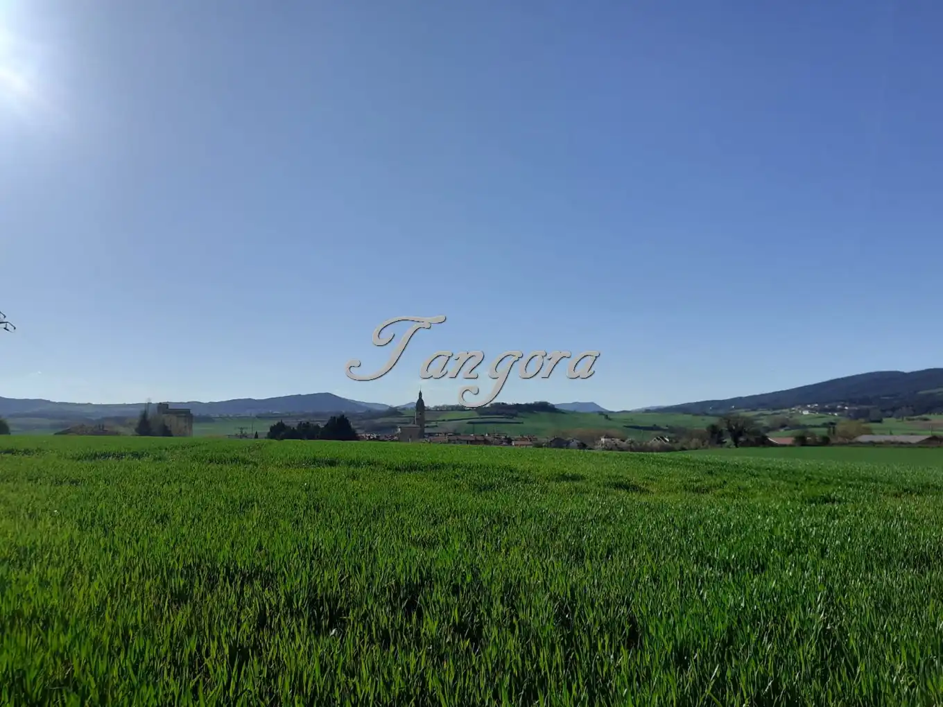 Industrial land for sale in La Puebla de Arganzón 
