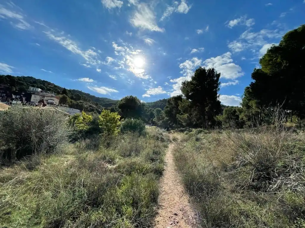 Terreny residencial en venda a Calle del Pino, imagen 10