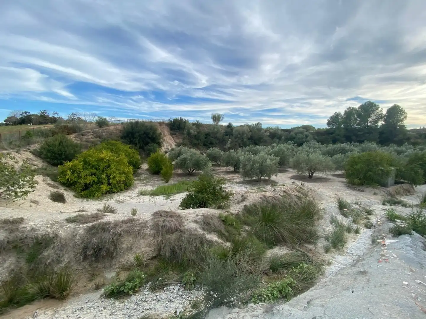 Residencial en venta en Albaida
