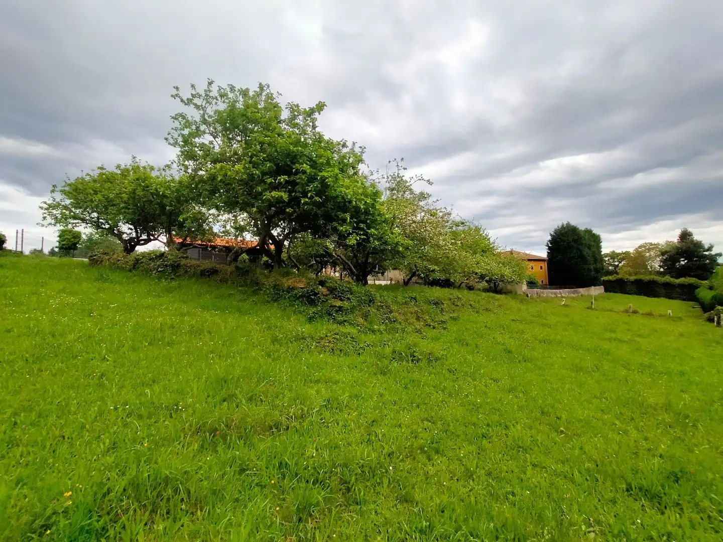 Terreni e lotti in vendita a Pravia, imagen 7