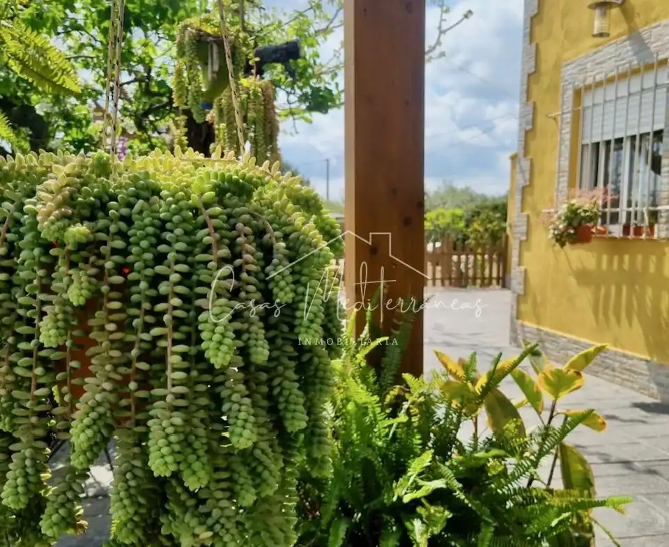 Casa rústica en venta en Llevant, imagen 5