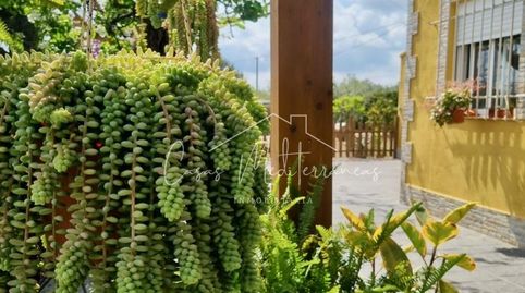 Foto 5 de Finca rústica en venta en Llevant, Reus