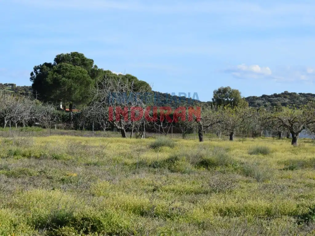 Terreni e lotti in vendita a Saucedilla, imagen 5