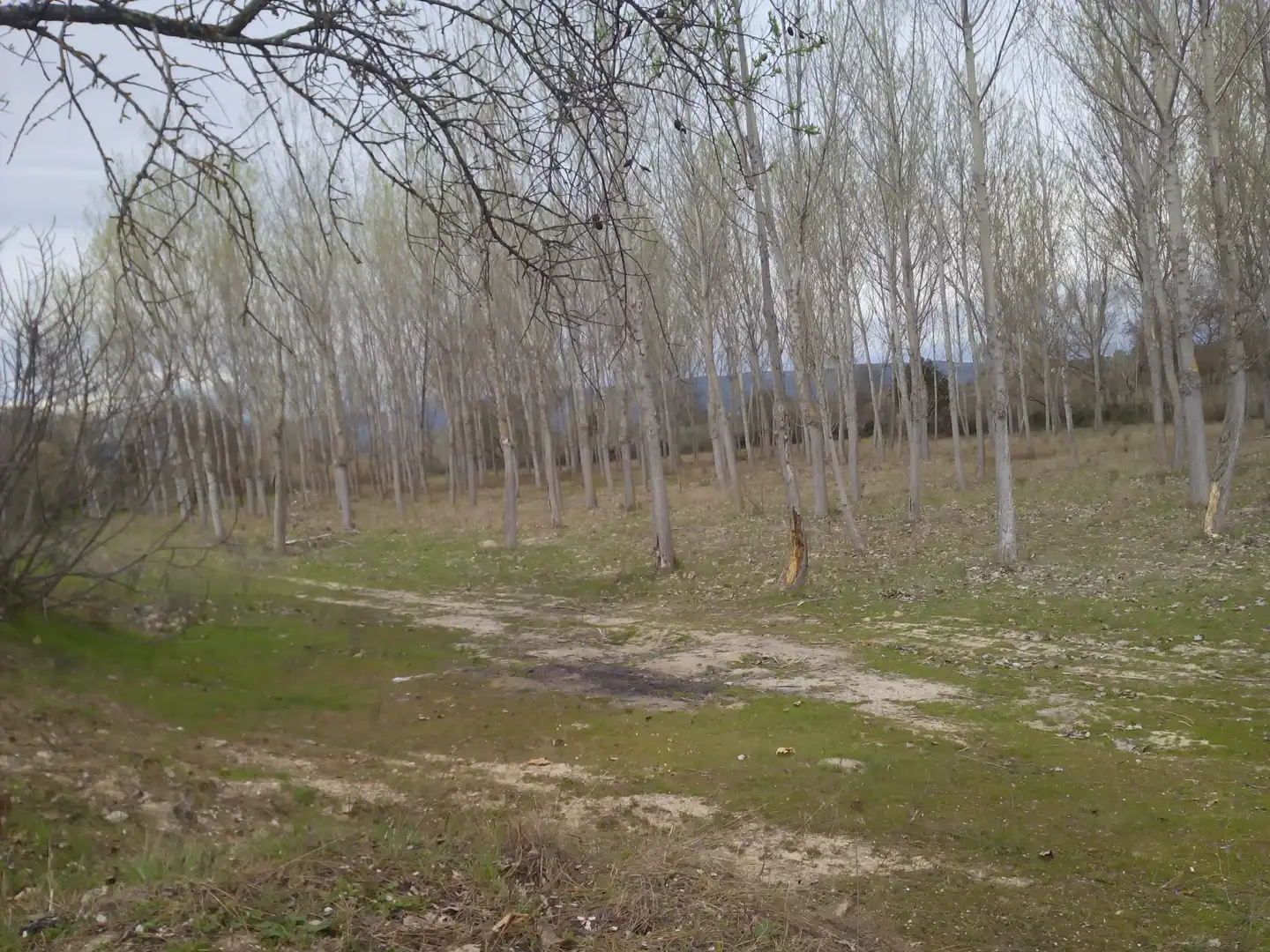 Terreno en venta en Aldea del Fresno