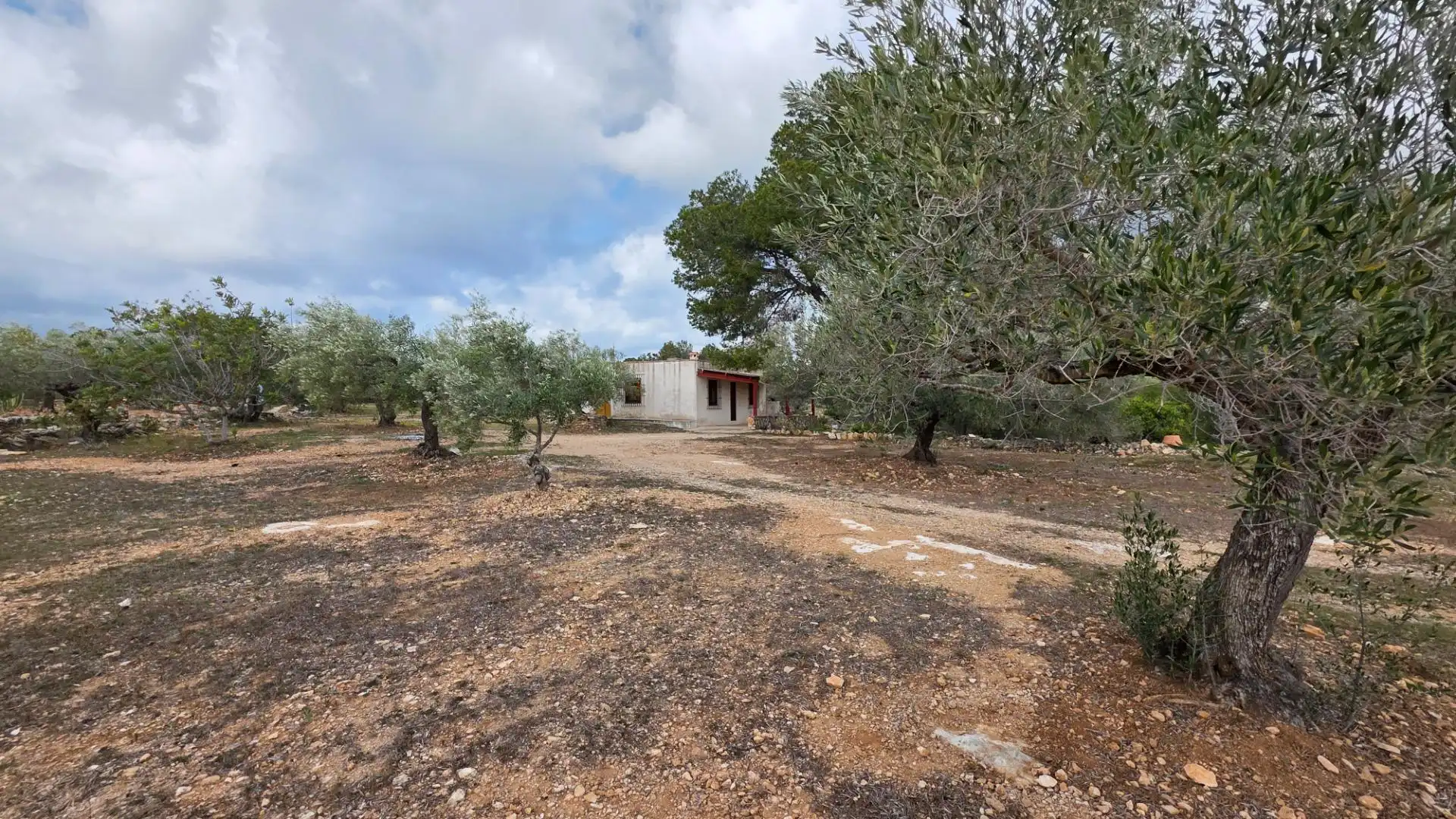 Maison rustique avec jardin à vendre à L'Ametlla de Mar pueblo, imagen 40
